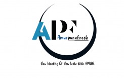 dairy products amur paneer