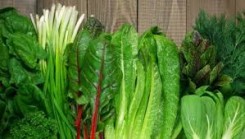 leafy vegetables