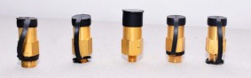 Pop Action Valve