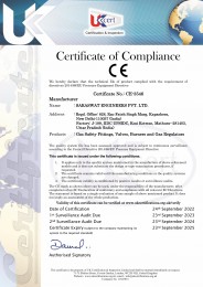 Download PDF