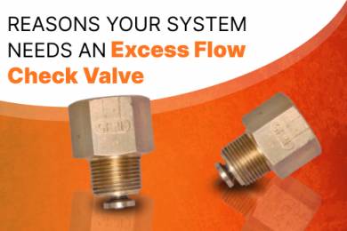 Reasons Your System Needs an Excess Flow Check Valve